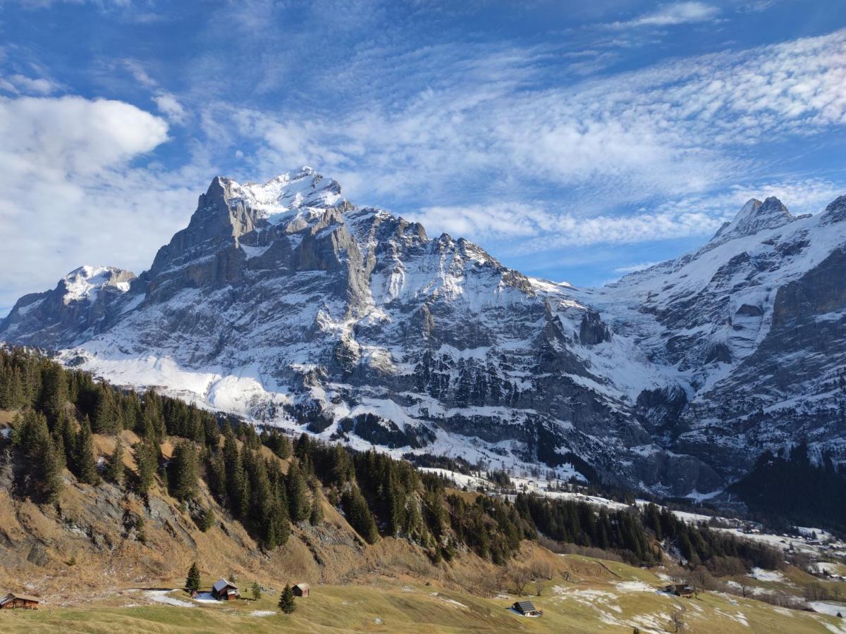 Chalet Pfyffer - Mountain View Grindelwald Exterior photo