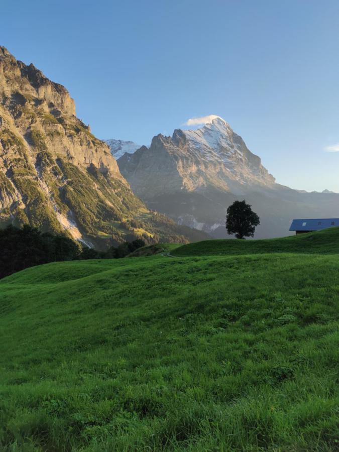 Chalet Pfyffer - Mountain View Grindelwald Exterior photo