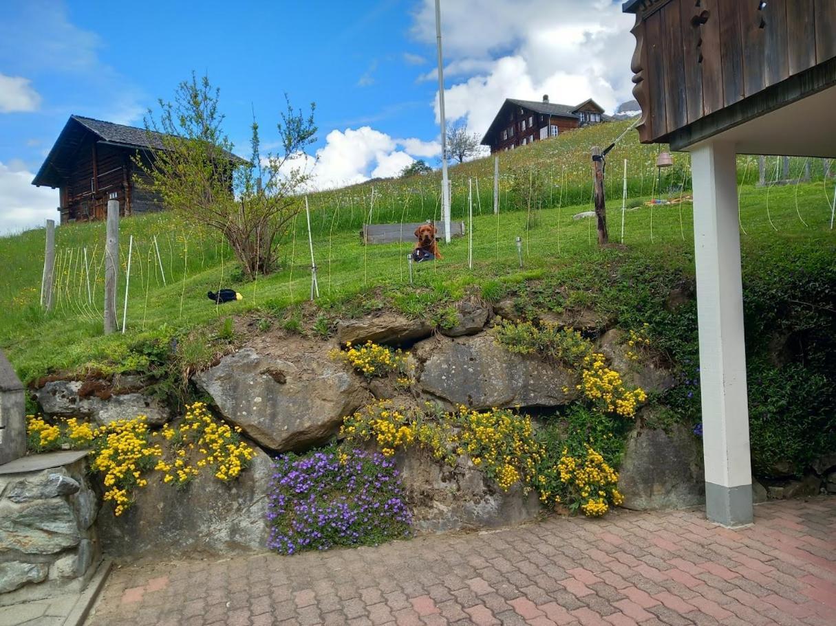 Chalet Pfyffer - Mountain View Grindelwald Exterior photo